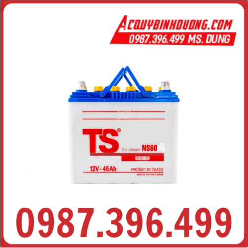 Ắc Quy TS NS60 (12V-45ah)