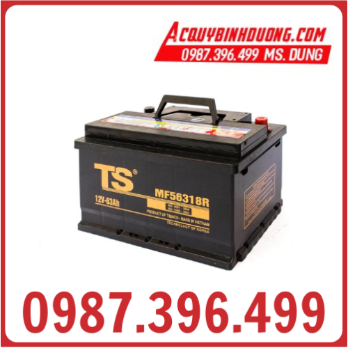 Ắc Quy TS MF 56318 12V 63Ah