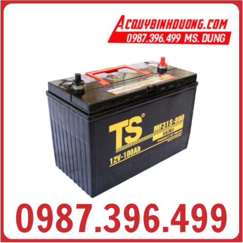 Ắc Quy Tia Sáng MF 31S-800 12V 100Ah