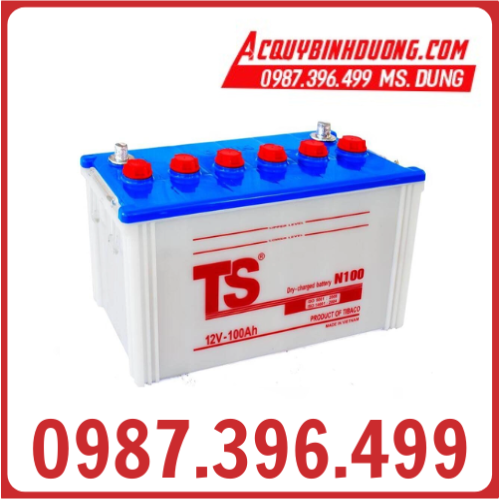Ắc Quy TS N100 12V-100Ah