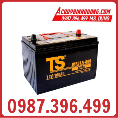 Ắc Quy TS MF 31A-800 12V 100Ah