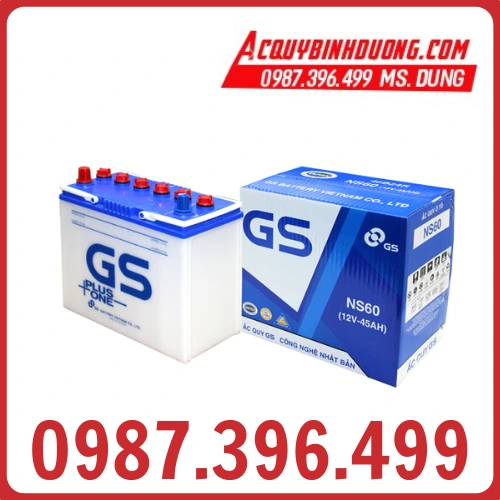 Ắc Quy GS NS60 (12V-45ah) cọc nhỏ 