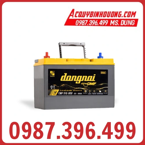 Ắc Quy Đồng Nai EXTRA CMF 31S-800 (12V-100ah)