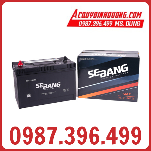 Ắc Quy SEBANG SMF HS-31-1000S (12V-100ah)