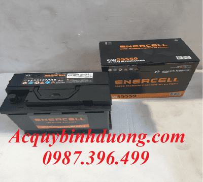 Ắc Quy Hyundai Enercell CMF 55559 (12V-55ah) 